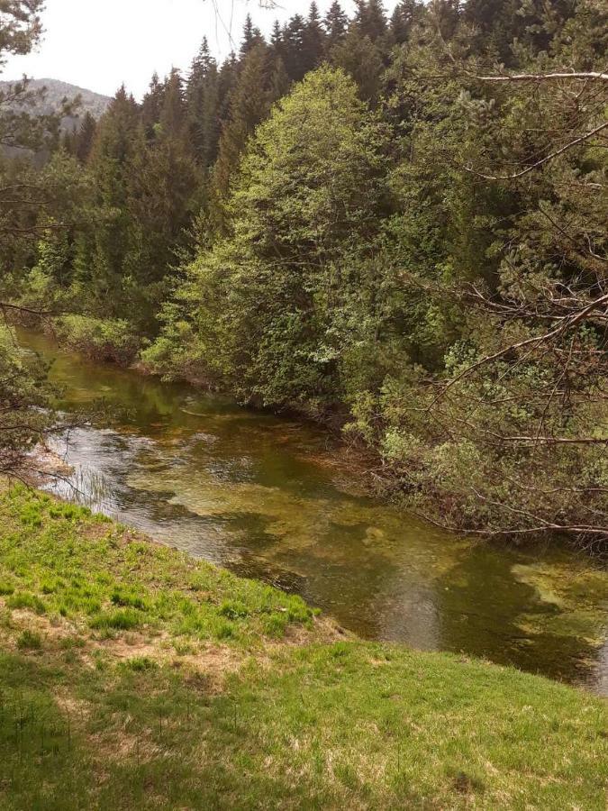 Conjar Villa Saborsko Exteriör bild